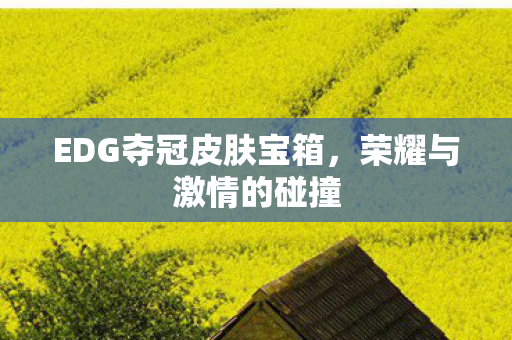 EDG夺冠皮肤宝箱图片