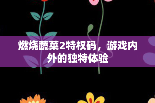 游戏内外的独特体验图片