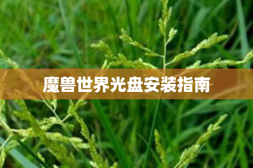 魔兽世界光盘安装指南图片