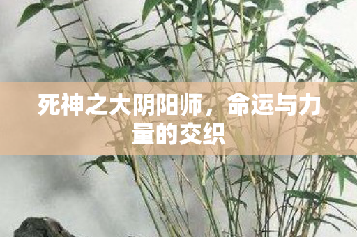 命运与力量的交织图片