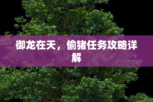 偷猪任务攻略详解图片