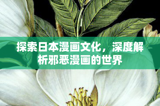 深度解析邪恶漫画的世界图片