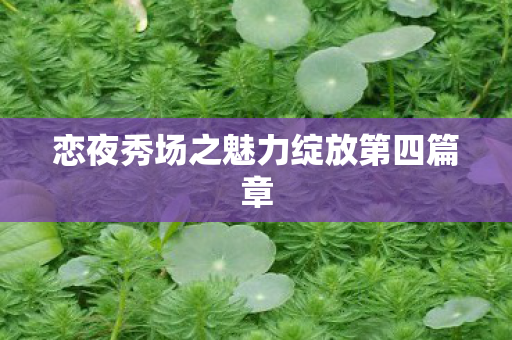恋夜秀场之魅力绽放第四篇章图片