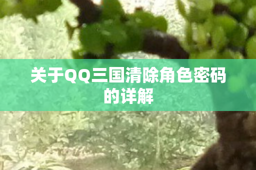 关于QQ三国清除角色密码的详解图片