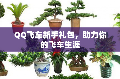 QQ飞车新手礼包图片
