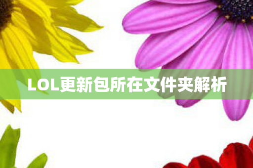 LOL更新包所在文件夹解析图片