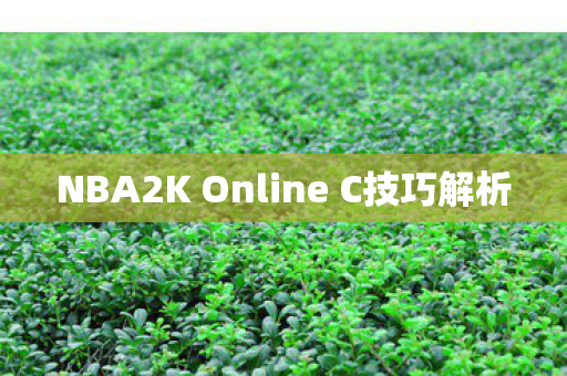 NBA2K Online C技巧解析图片