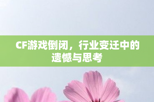 行业变迁中的遗憾与思考图片