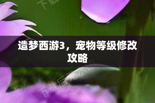 宠物等级修改攻略图片