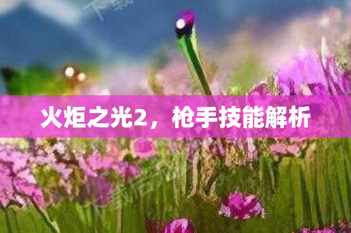 枪手技能解析图片