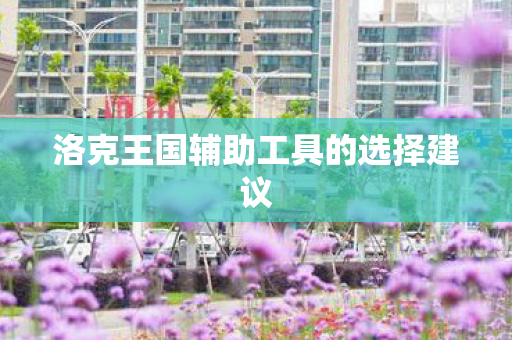 洛克王国辅助工具的选择建议图片