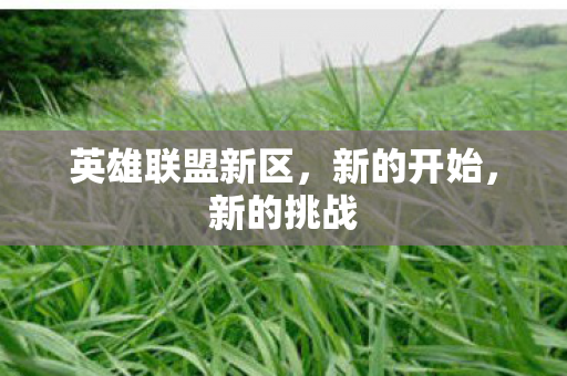 英雄联盟新区图片