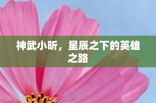 星辰之下的英雄之路图片