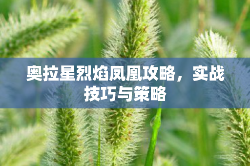 奥拉星烈焰凤凰攻略图片