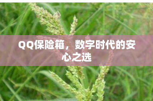 数字时代的安心之选图片