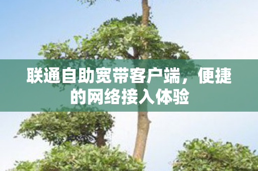 联通自助宽带客户端图片