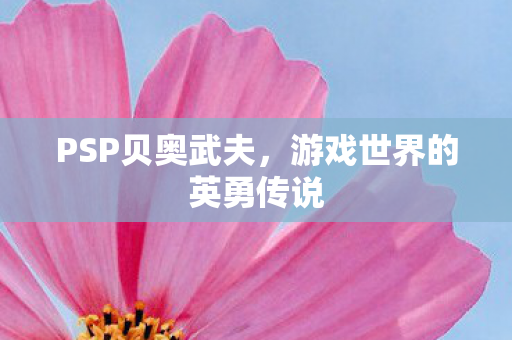 游戏世界的英勇传说图片