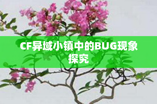 CF异域小镇中的BUG现象探究图片