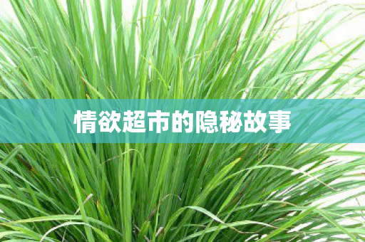 情欲超市的隐秘故事图片