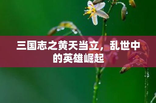 三国志之黄天当立图片