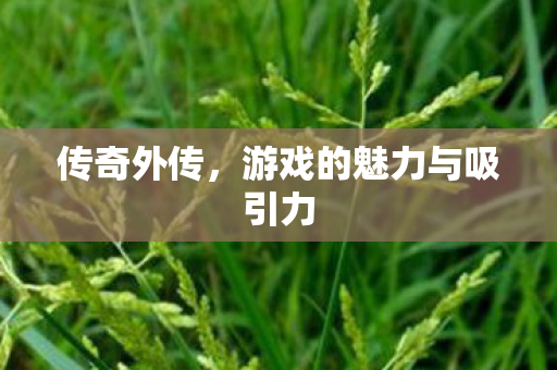 游戏的魅力与吸引力图片