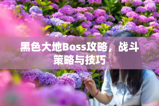 黑色大地Boss攻略图片