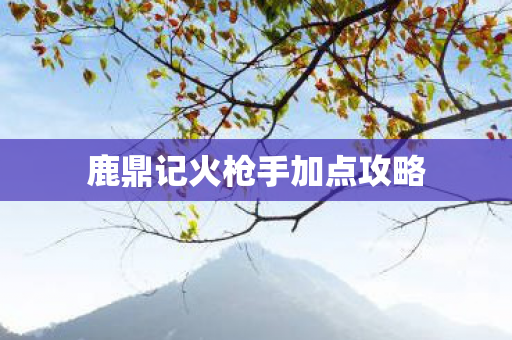 鹿鼎记火枪手加点攻略图片