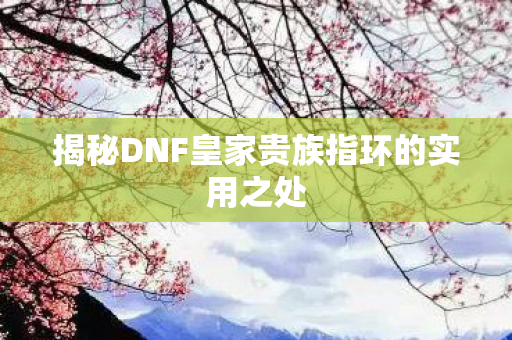 揭秘DNF皇家贵族指环的实用之处图片