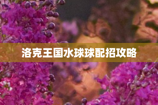 洛克王国水球球配招攻略图片