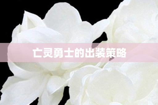 亡灵勇士的出装策略图片
