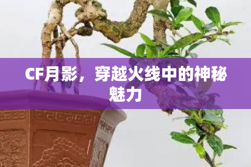 穿越火线中的神秘魅力图片