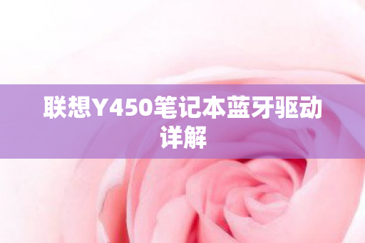 联想Y450笔记本蓝牙驱动详解图片