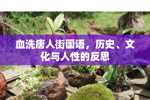 文化与人性的反思图片