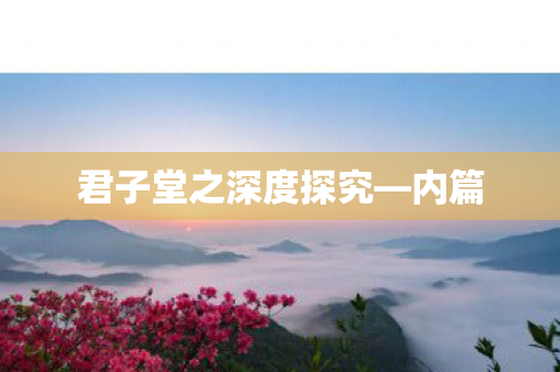 君子堂之深度探究图片