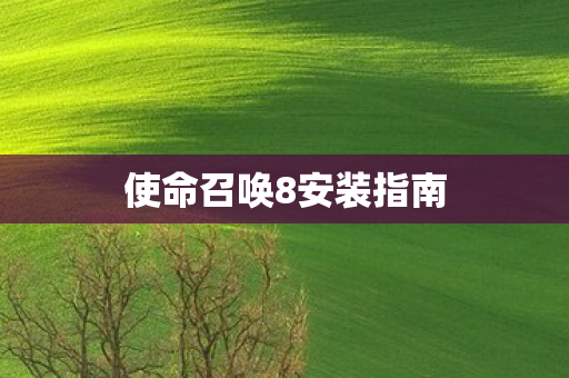 使命召唤8安装指南图片