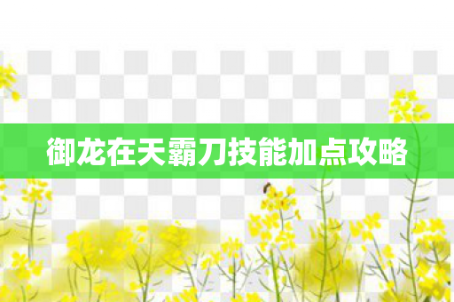 御龙在天霸刀技能加点攻略图片