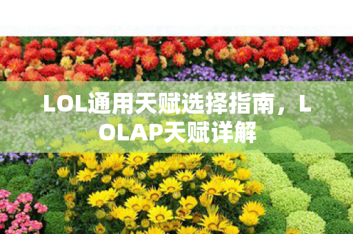LOL通用天赋选择指南图片