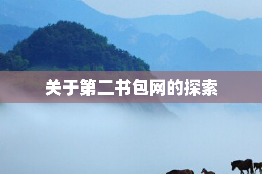 关于第二书包网的探索图片