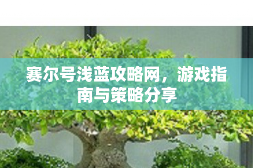 游戏指南与策略分享图片