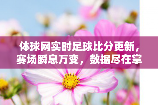 体球网实时足球比分更新图片