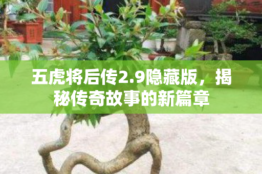 揭秘传奇故事的新篇章图片