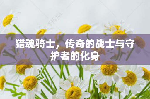 传奇的战士与守护者的化身图片