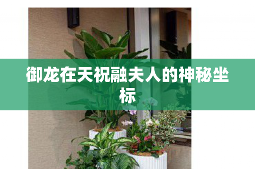 御龙在天祝融夫人的神秘坐标图片