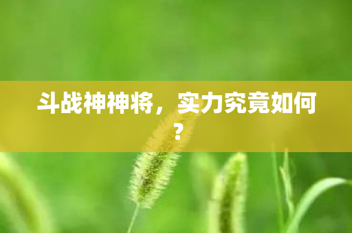 实力究竟如何图片