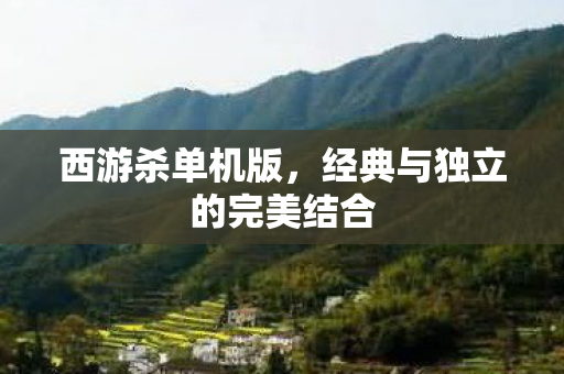 经典与独立的完美结合图片