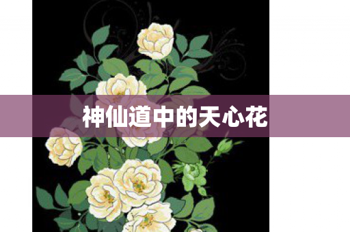 神仙道中的天心花图片