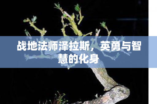 英勇与智慧的化身图片