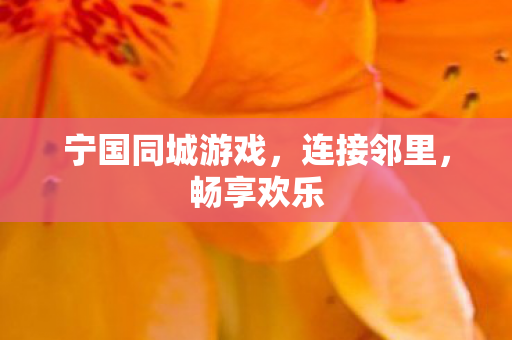 宁国同城游戏图片