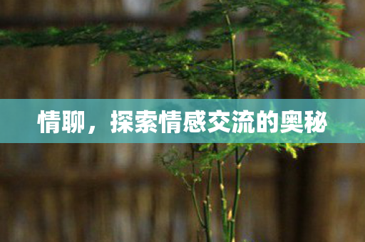 探索情感交流的奥秘图片