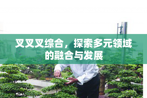 探索多元领域的融合与发展图片